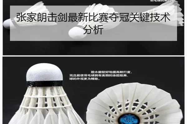 张家朗击剑最新比赛夺冠关键技术分析